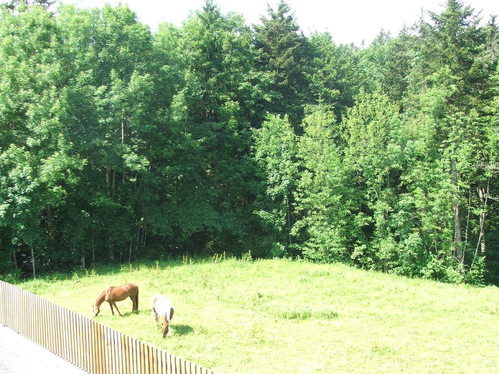 Pension Jaegerheim Krumbach  Extérieur photo